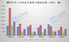 甚至不及已陷入停产危机的恒大汽车（2023年销售